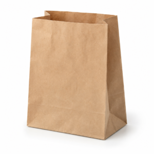 10 kraft bag main